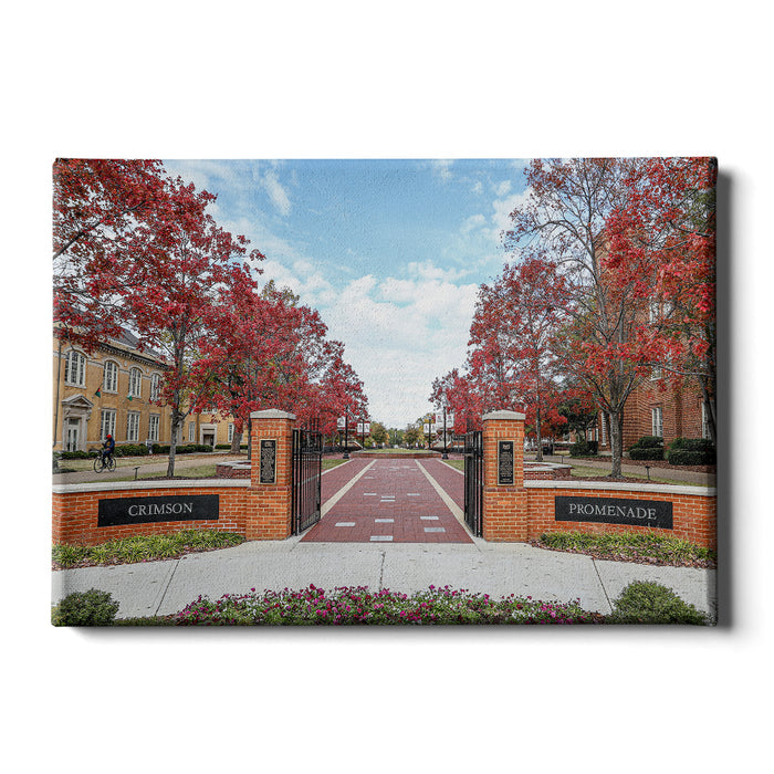 Alabama Crimson Tide - Crimson Promenade - College Wall Art #Canvas