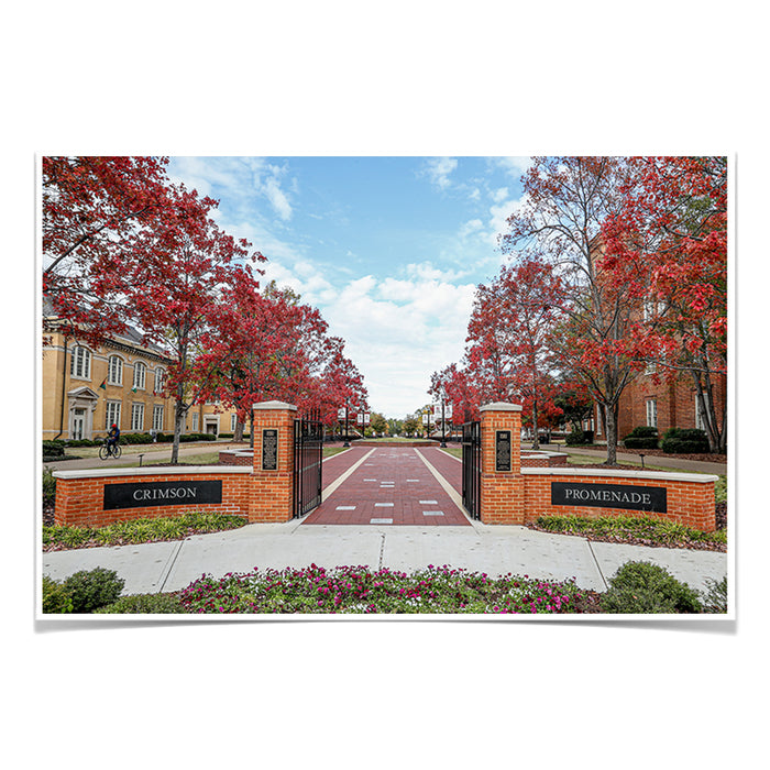 Alabama Crimson Tide - Crimson Promenade - College Wall Art #Poster