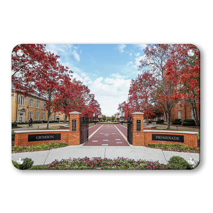 Alabama Crimson Tide - Crimson Promenade - College Wall Art #Metal