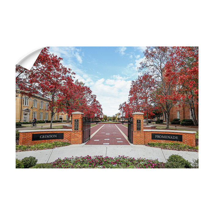 Alabama Crimson Tide - Crimson Promenade - College Wall Art #Wall Decal