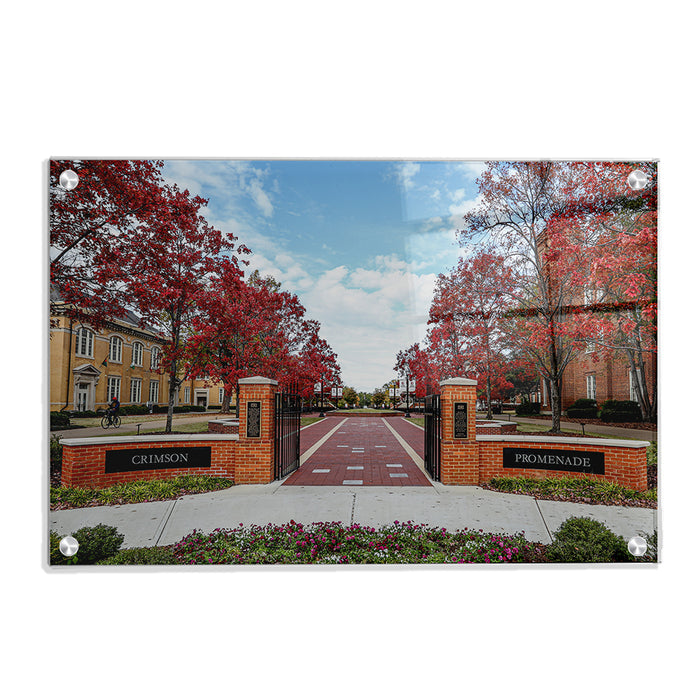 Alabama Crimson Tide - Crimson Promenade - College Wall Art #Acrylic