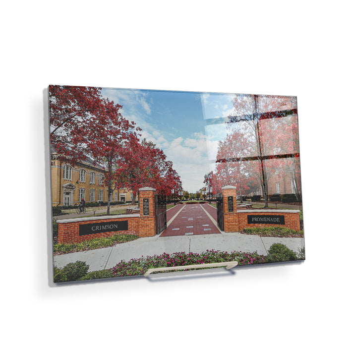Alabama Crimson Tide - Crimson Promenade - College Wall Art #Acrylic Mini