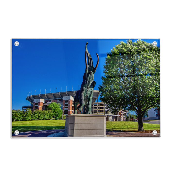 Alabama Crimson Tide - Tuska Bryant-Denny - College Wall Art #Acrylic