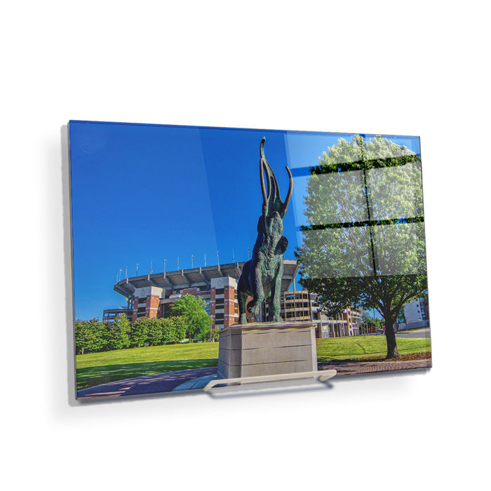 Alabama Crimson Tide - Tuska Bryant-Denny - College Wall Art #Acrylic Mini