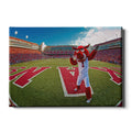 Arkansas Razorbacks - Big Red End Zone - College Wall Art #Canvas