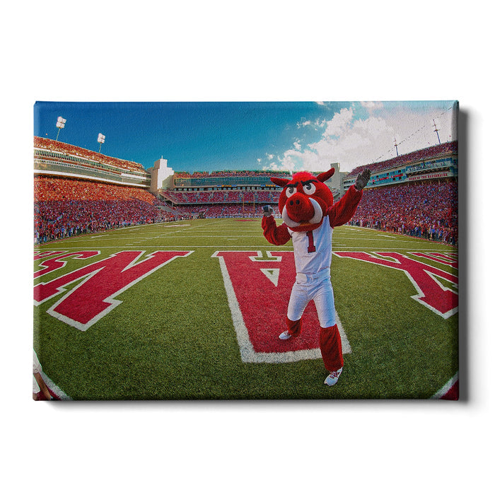Arkansas Razorbacks - Big Red End Zone - College Wall Art #Canvas