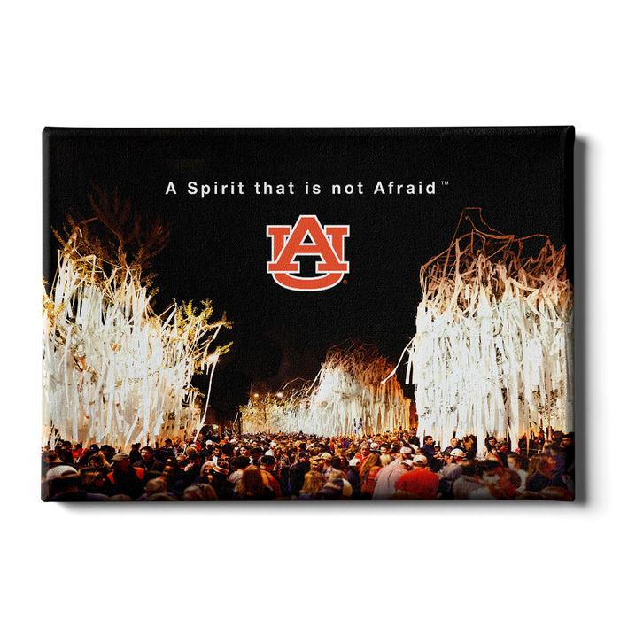 Auburn Tigers - A Spirit That Is Not Afraid - College Wall Art#Canvas