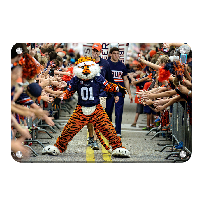 Auburn Tigers - Aubie at the Tiger Walk - College Wall Art #Metal