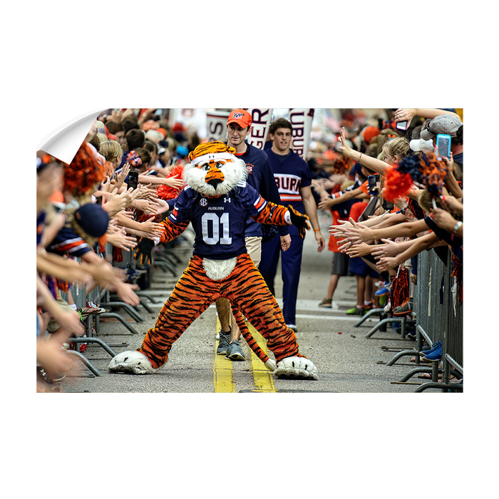 Auburn Tigers - Aubie at the Tiger Walk - College Wall Art #Wall Decal