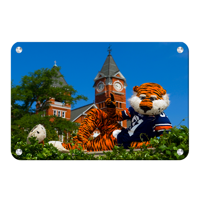 Auburn Tigers - Aubie - College Wall Art#Metal