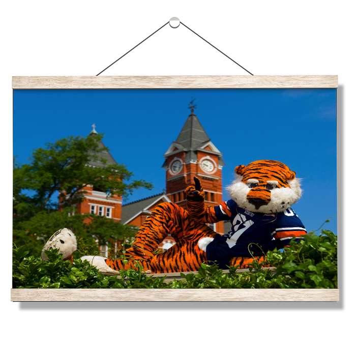 Auburn Tigers - Aubie - College Wall Art#Hanging Canvas