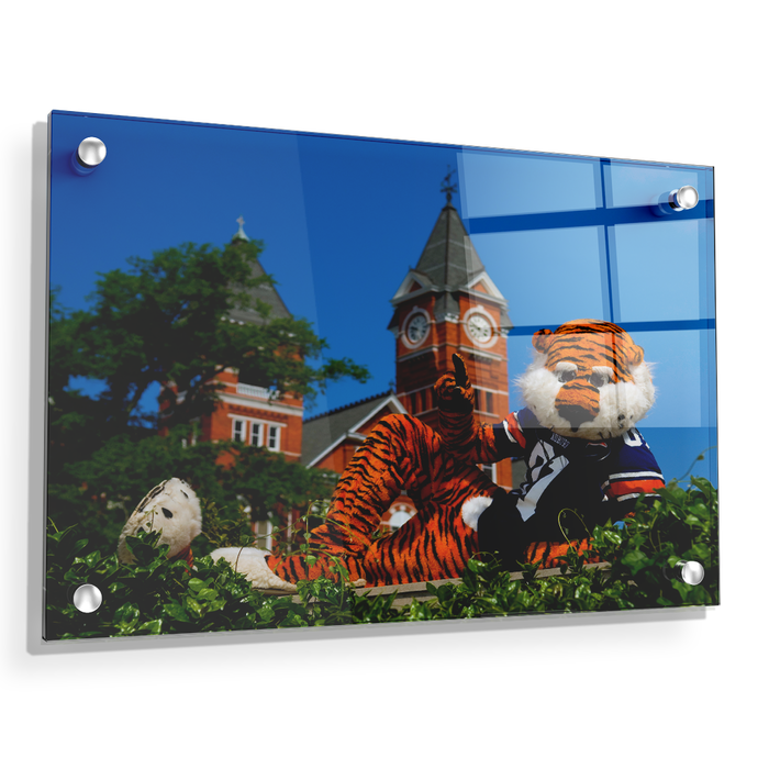 Auburn Tigers - Aubie - College Wall Art#Acrylic