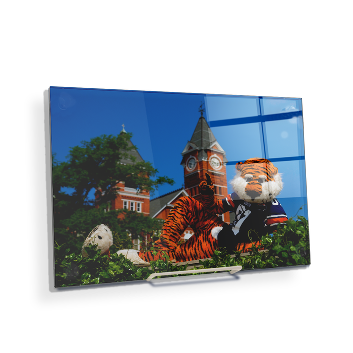 Auburn Tigers - Aubie - College Wall Art#Acrylic Mini