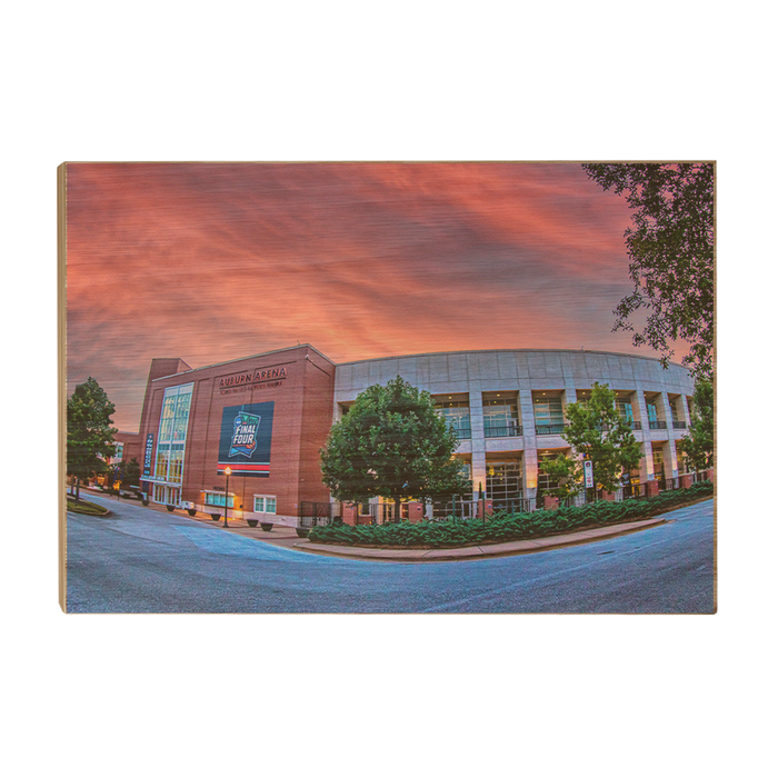 Auburn Tigers - Auburn Arena - College Wall Art #Wood
