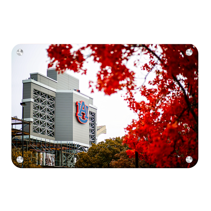 Auburn Tigers - Auburn Autumn Day - College Wall Art#Metal