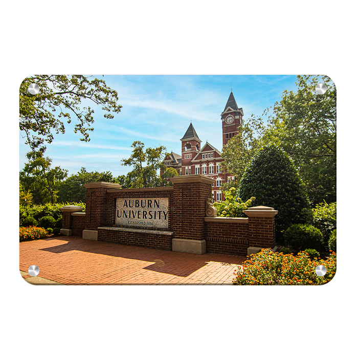 Auburn Tigers - Auburn University - College Wall Art #Metal