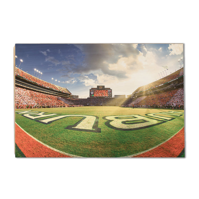 Auburn Tigers - Fisheye End Zone - College Wall Art #Wood