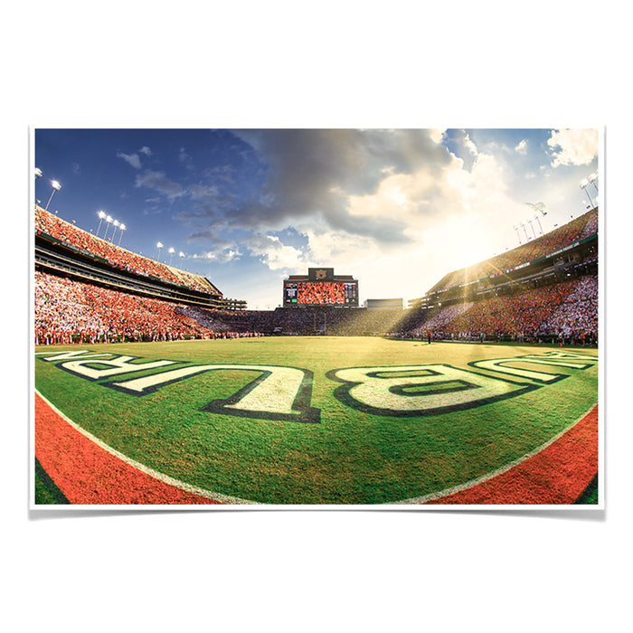 Auburn Tigers - Fisheye End Zone - College Wall Art #Poster