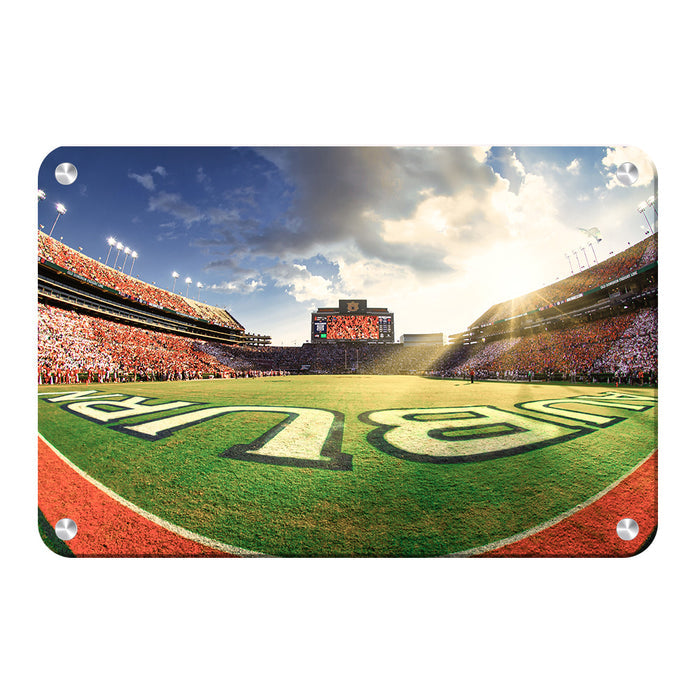 Auburn Tigers - Fisheye End Zone - College Wall Art #Metal