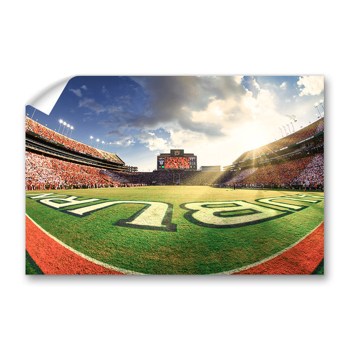 Auburn Tigers - Fisheye End Zone - College Wall Art #Wall Decal