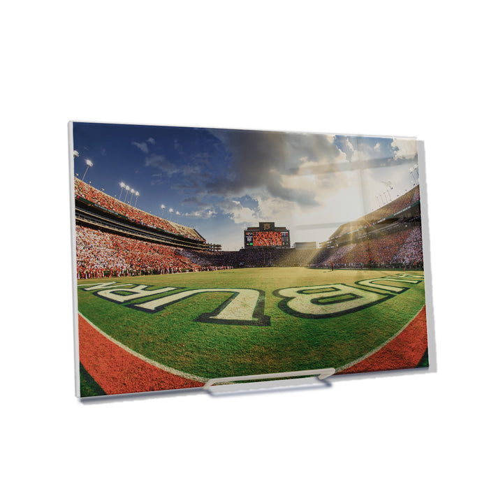 Auburn Tigers - Fisheye End Zone - College Wall Art #Acrylic Mini