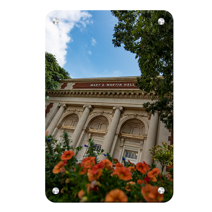 Auburn Tigers - Martin Hall - College Wall Art #Metal