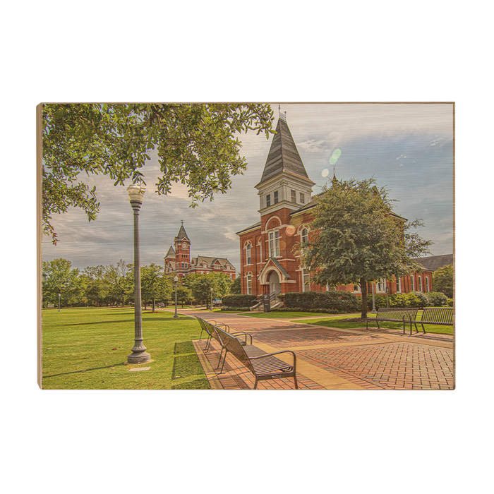 Auburn Tigers - Old School HDR - College Wall Art #Wood