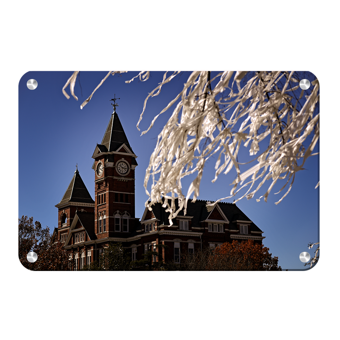 Auburn Tigers - Samford Toomers - College Wall Art#Metal