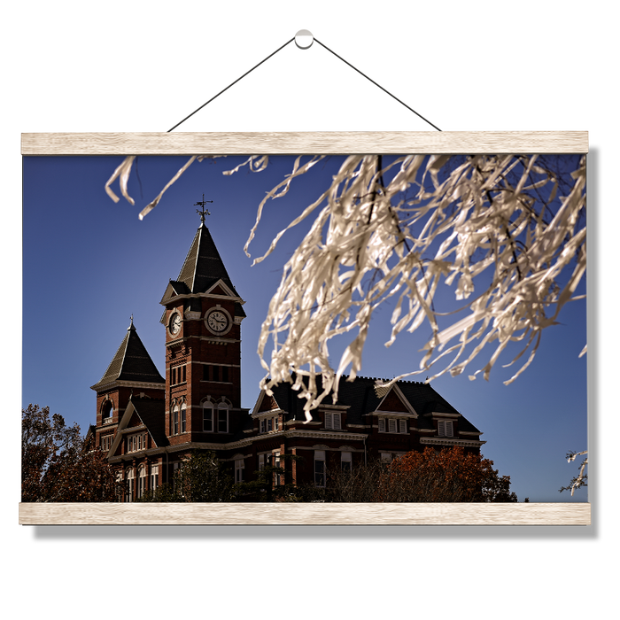 Auburn Tigers - Samford Toomers - College Wall Art#Hanging Canvas