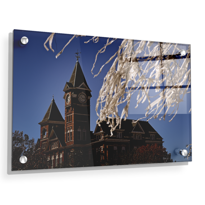 Auburn Tigers - Samford Toomers - College Wall Art#Acrylic