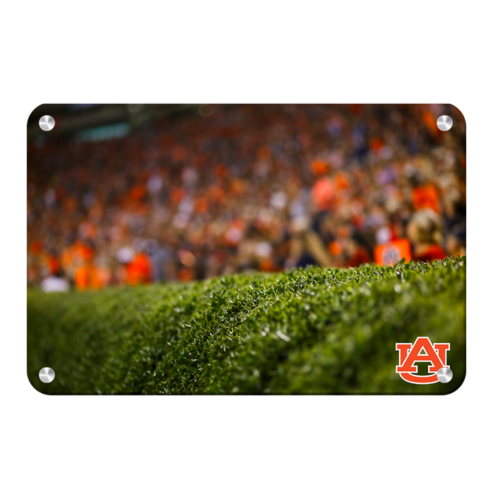 Auburn Tigers - The Hedges - College Wall Art#Metal