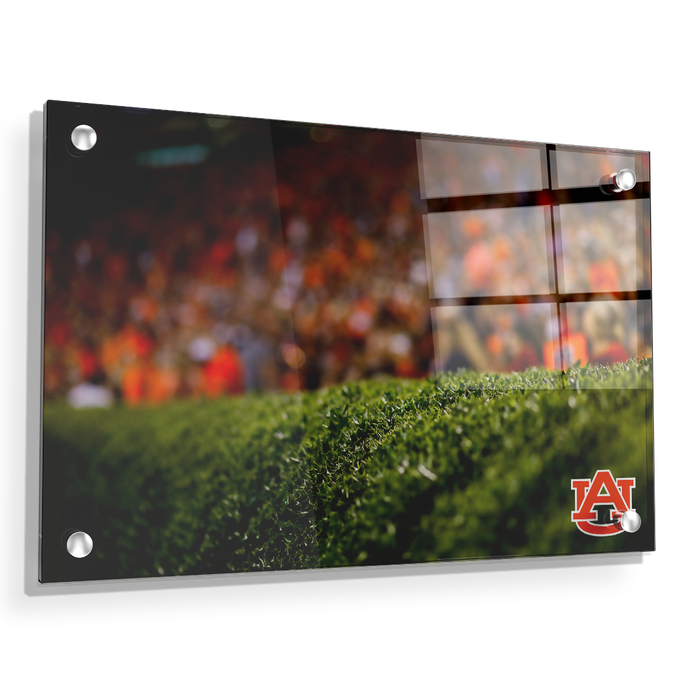 Auburn Tigers - The Hedges - College Wall Art#Acrylic