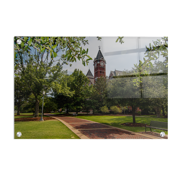 Auburn Tigers - The Walk to Samford - College Wall Art #Acrylic
