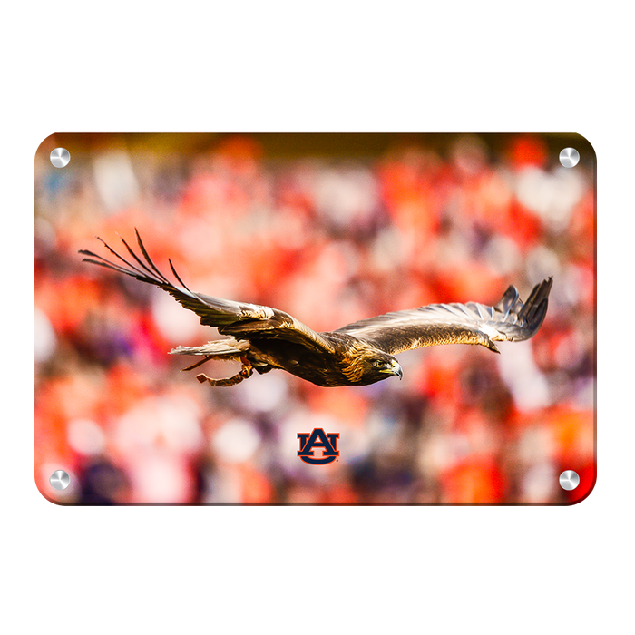 Auburn Tigers - War Eagle Flight - College Wall Art#Metal