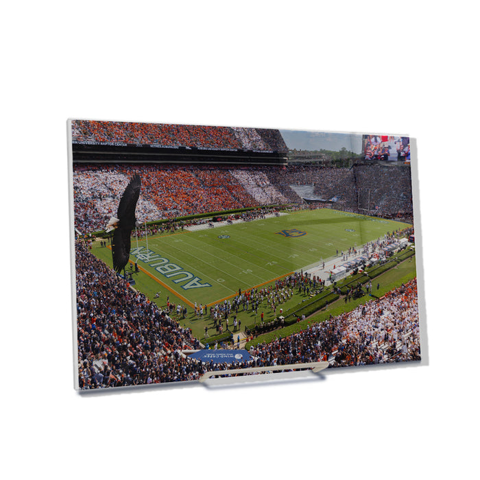 Auburn Tigers - War Eagle Flight - College Wall Art #Acrylic Mini