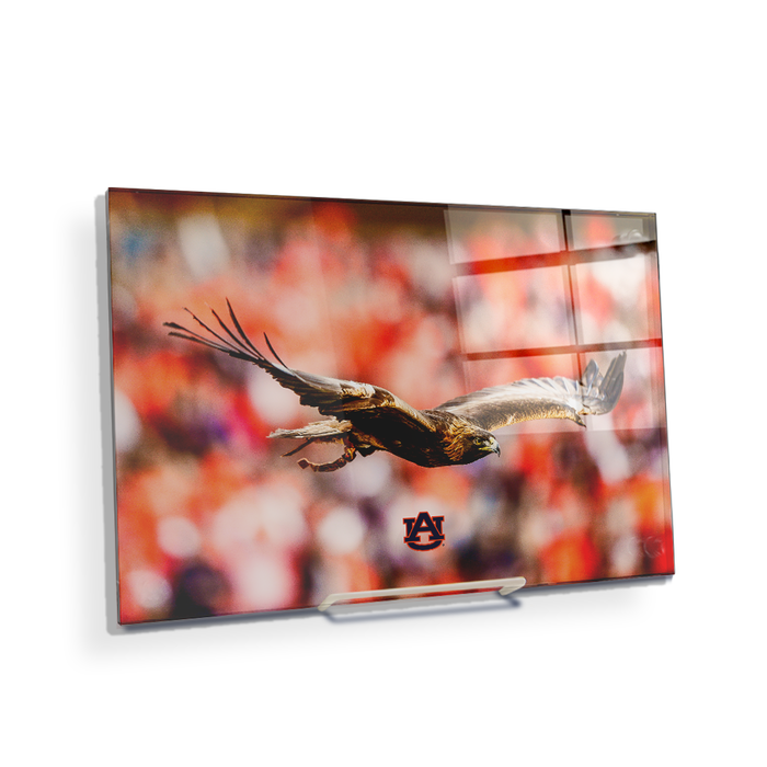 Auburn Tigers - War Eagle Flight - College Wall Art#Acrylic Mini