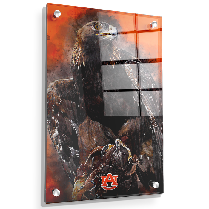 Auburn Tigers - War Eagle Paint - College Wall Art#Acrylic