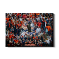 Auburn Tigers - War Eagle Soars - College Wall Art#Canvas