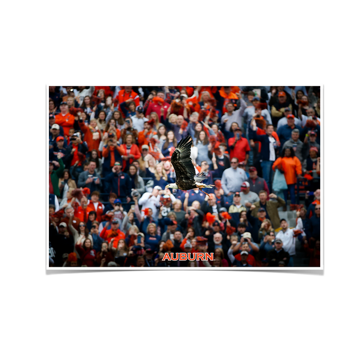 Auburn Tigers - War Eagle Soars - College Wall Art#Poster