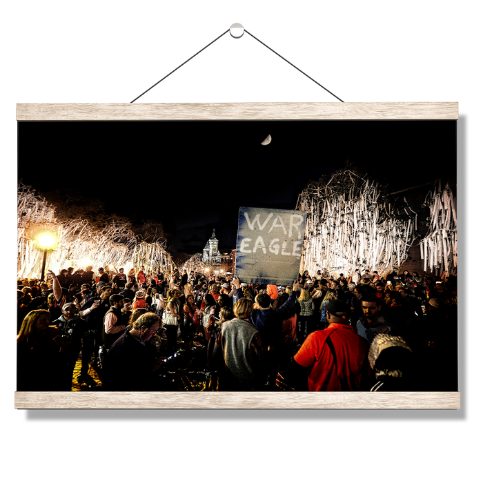 Auburn Tigers - War Eagle TP - College Wall Art#Hanging Canvas