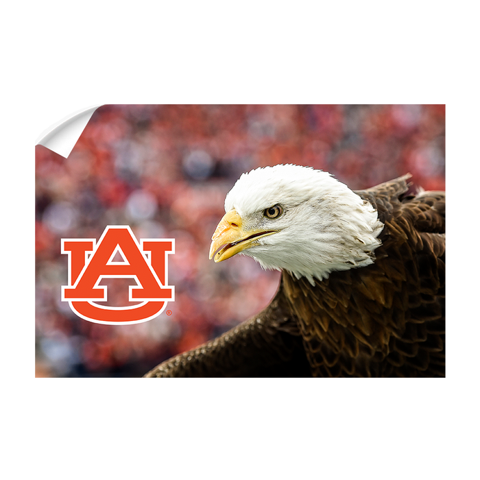 Auburn Tigers - War Eagle Up Close - College Wall Art#Wall Decal