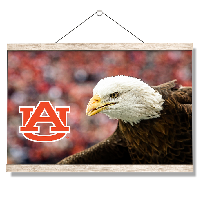 Auburn Tigers - War Eagle Up Close - College Wall Art#Hanging Canvas