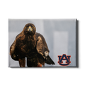 Auburn Tigers - War Eagle - College Wall Art#Canvas