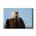 Auburn Tigers - War Eagle - College Wall Art#Canvas