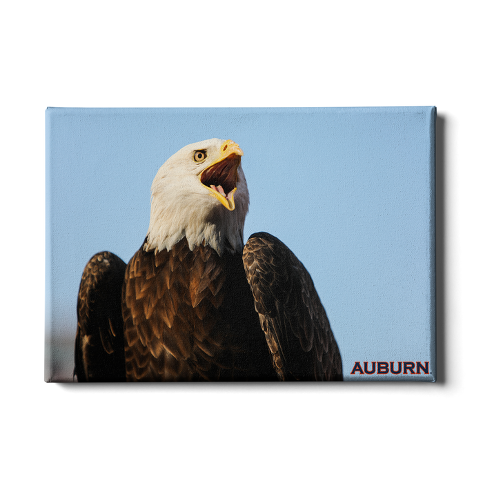 Auburn Tigers - War Eagle - College Wall Art#Canvas