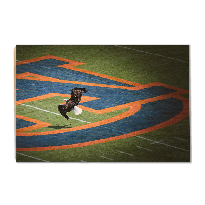 Auburn Tigers - War Eagle - College Wall Art #Wood