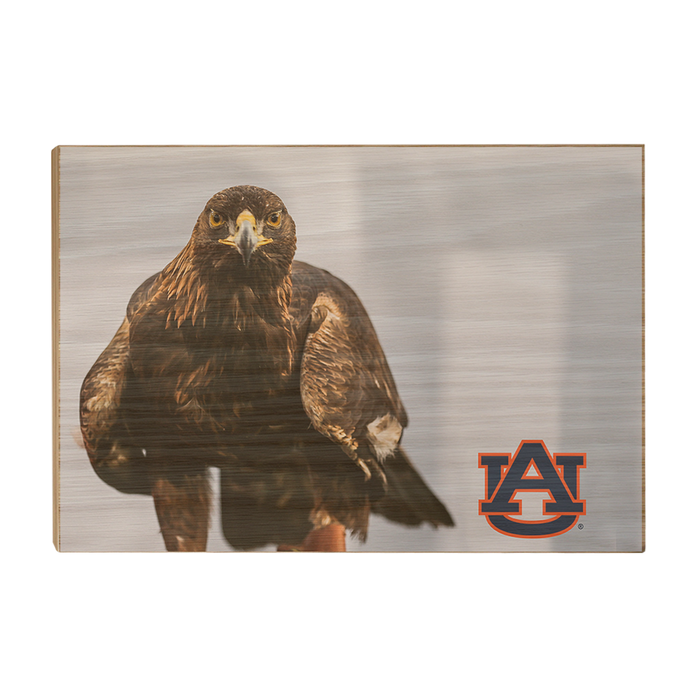 Auburn Tigers - War Eagle - College Wall Art#Wood