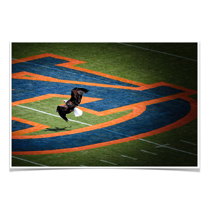 Auburn Tigers - War Eagle - College Wall Art #Poster