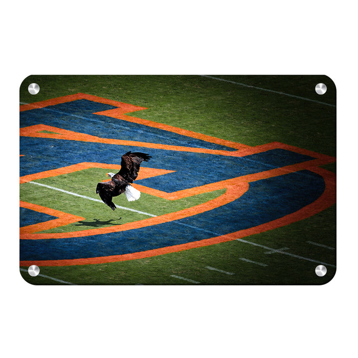 Auburn Tigers - War Eagle - College Wall Art #Metal