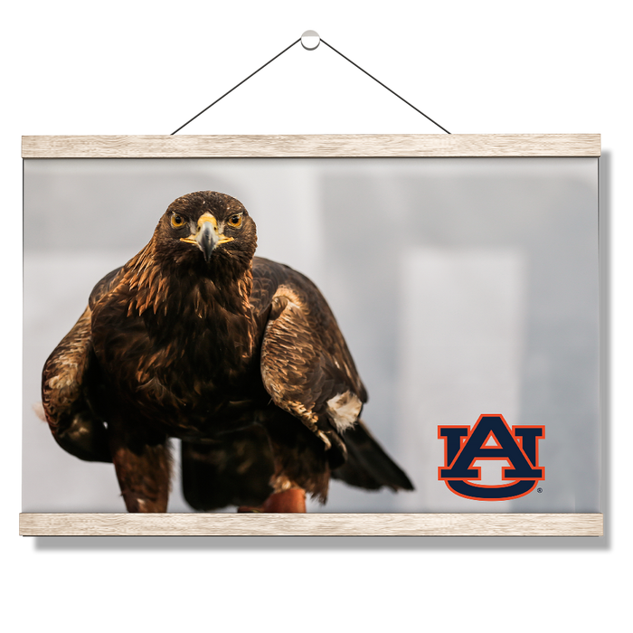 Auburn Tigers - War Eagle - College Wall Art#Hanging Canvas
